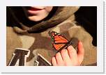 monarchs72 * One landed on a kid. * 1000 x 667 * (133KB)