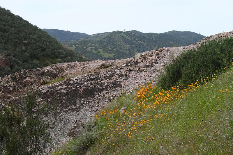 pinnacles045.JPG - Pinnacles.  Wildflowers are out in bloom.  California Poppy.