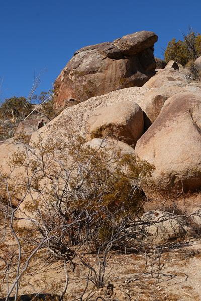 socal136.JPG - Anza-Borrego Desert State Park