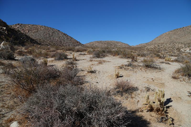 socal152.JPG - Anza-Borrego Desert State Park