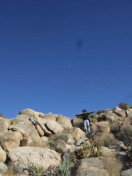 socal229.JPG - Anza-Borrego Desert State Park