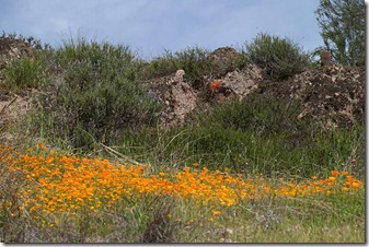 pinnacles052[1]