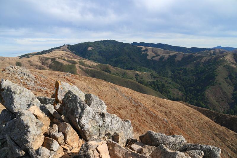 Monterey300.JPG - Garrapata State Park  Finally at the top after a grueling hike that had a 20-30% grade at times.