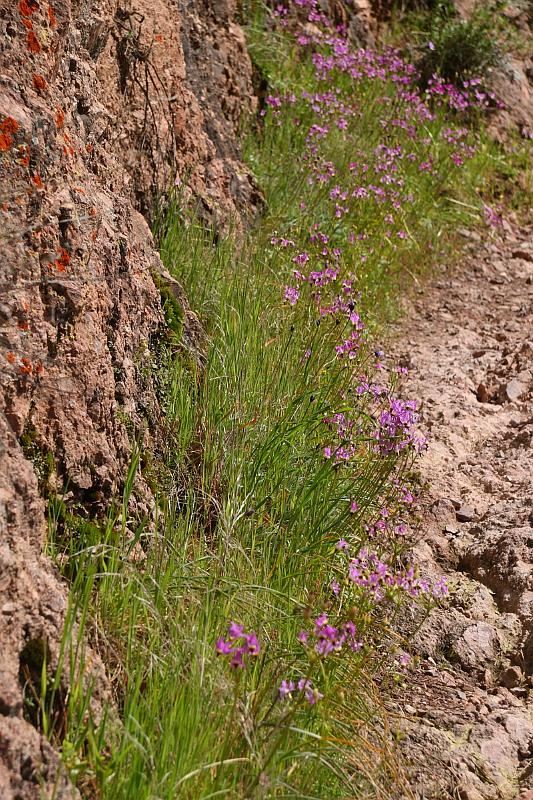 pinnacles118.JPG - Pinnacles.