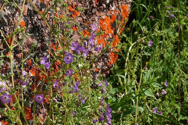 pinnacles122.JPG - Pinnacles.