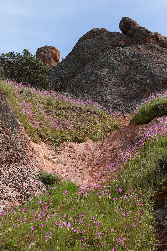 pinnacles167.JPG - Pinnacles.