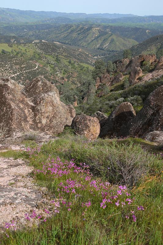 pinnacles174.JPG - Pinnacles.