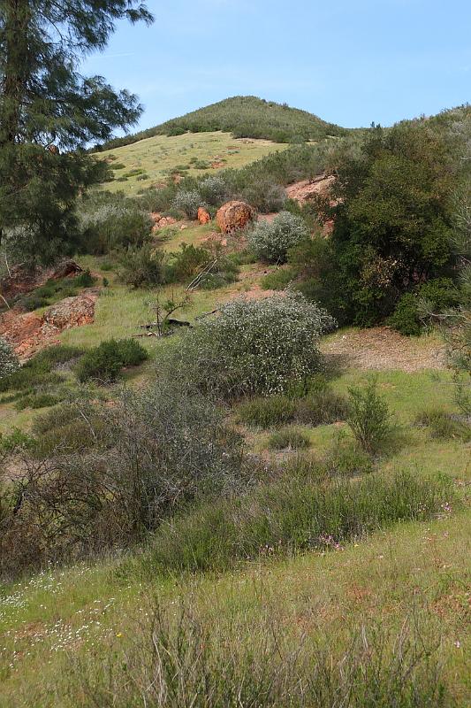 pinnacles256.JPG - Pinnacles.