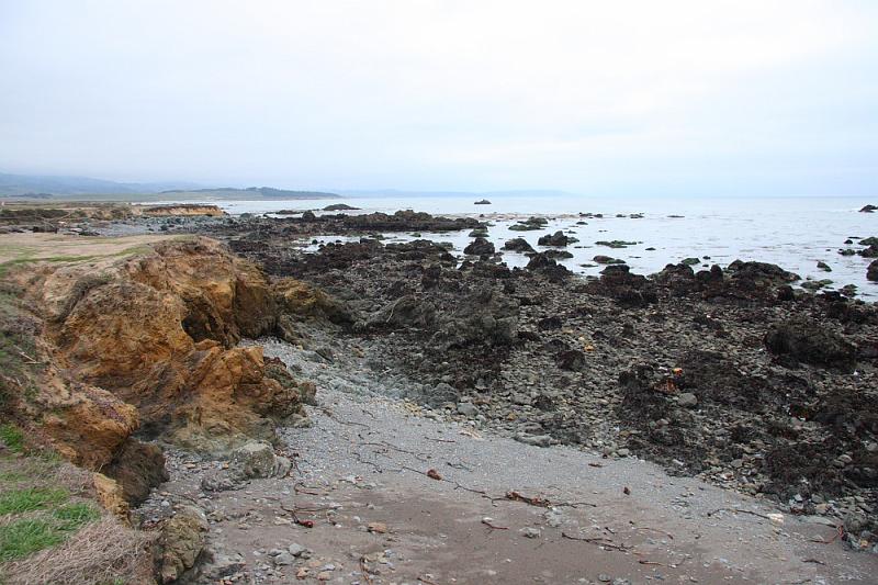 slo167.JPG - Just north of the castle, there are a couple stops to view elephant seals.