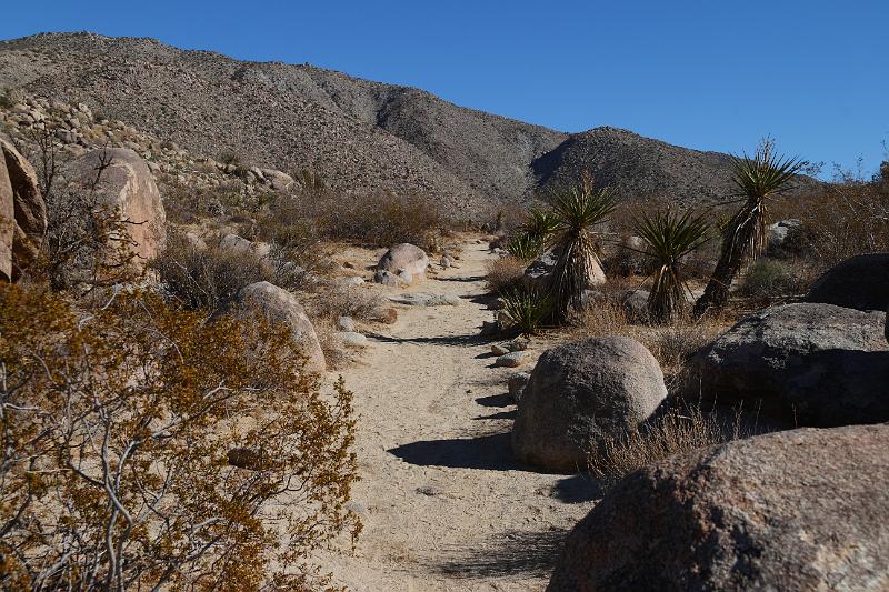 socal130.JPG - Anza-Borrego Desert State Park