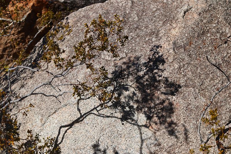 socal132.JPG - Anza-Borrego Desert State Park.  Nice shadows and it was good to see the sun and blue skies.