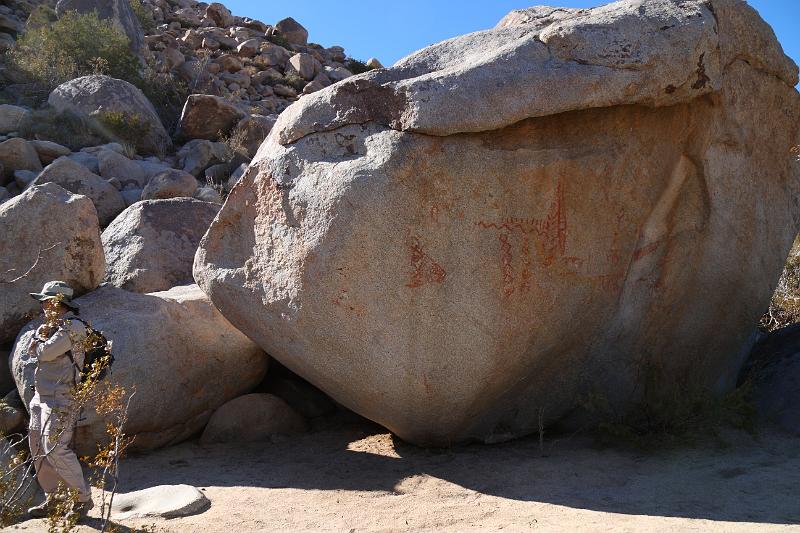 socal145.JPG - Anza-Borrego Desert State Park.   The trail brought us to Native American pictographs.