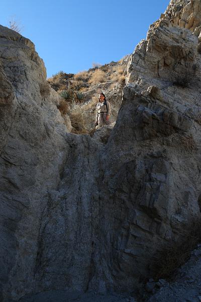 socal242.JPG - Anza-Borrego Desert State Park