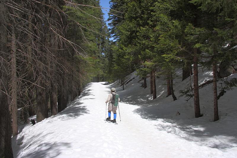 yosemite2010_221.JPG - On Sunday, we went snow shoeing, which I had never done before.