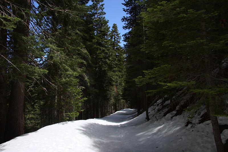 yosemite2010_223.JPG - Lots of snow.