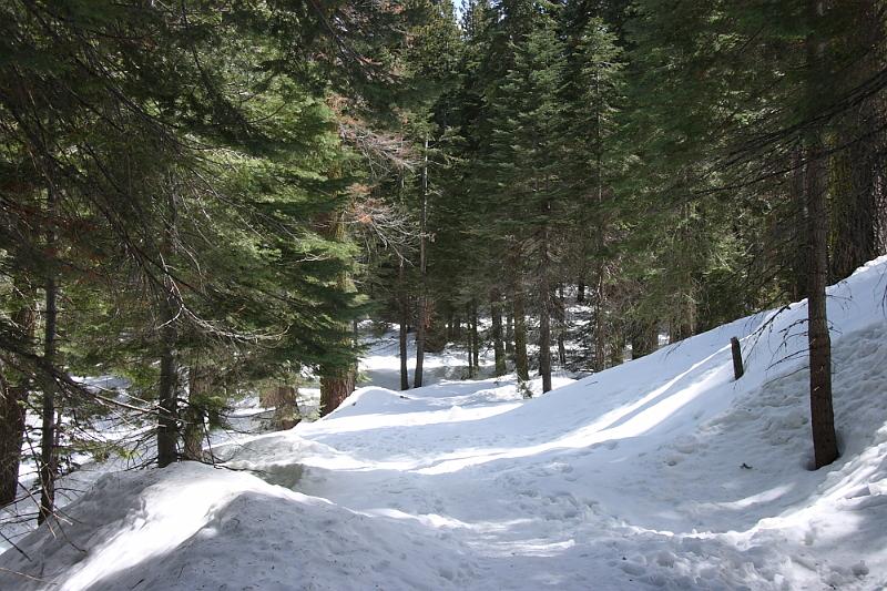 yosemite2010_225.JPG - Lots of snow.