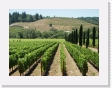 100_2820 * Sonoma.  Ferrari-Carano Winery * 2592 x 1944 * (2.85MB)