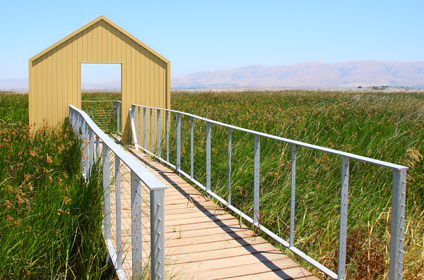 alviso.JPG