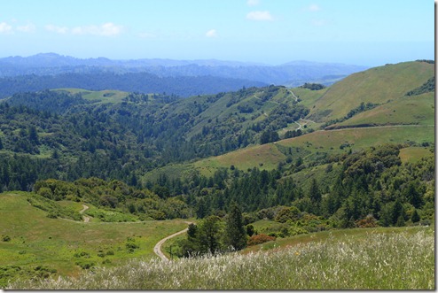 Russian Ridge View